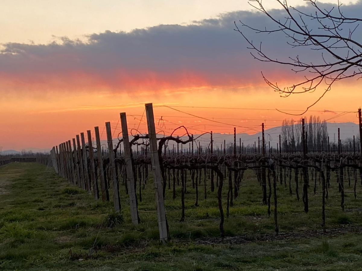 Agriturismo Richeton Gaiarine 외부 사진